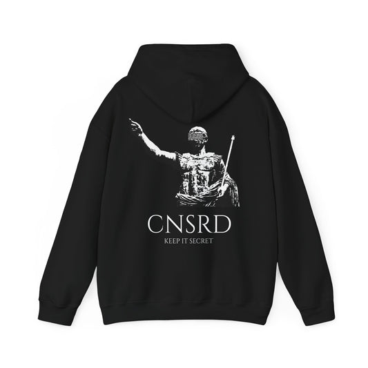 CNSRD - CSAR